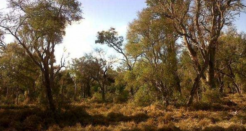 Ma&ntilde;ana se realizar&aacute; el tercer Seminario de Agroecolog&iacute;a para el Chaco Austral