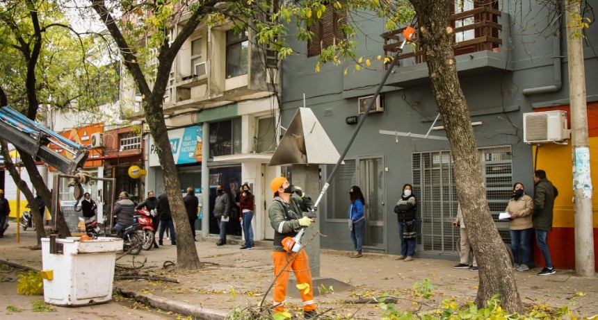 Arranc&oacute; la poda responsable en el Microcentro de Resistencia 