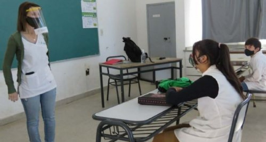 Docentes piden que se suspendan las clases presenciales en Neuqu&eacute;n