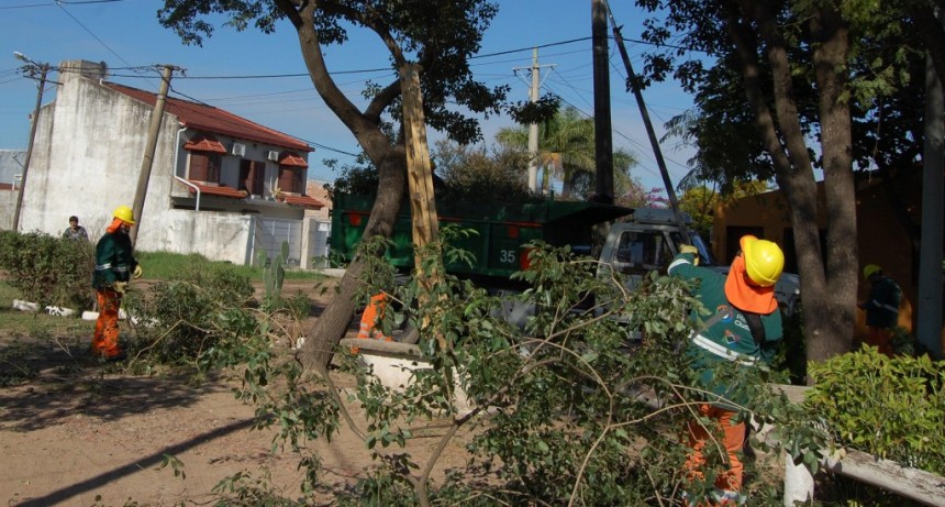 Avanza la poda de temporada y limpieza en barrios del sudoeste de Resistencia 