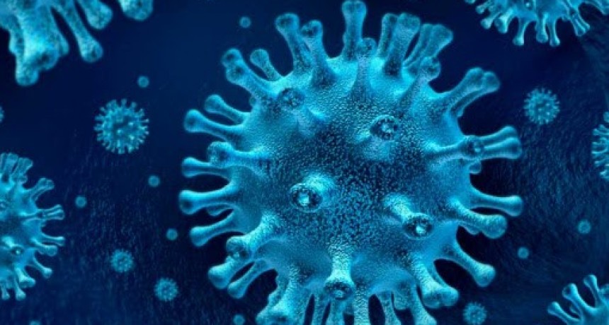 Descubrieron el &ldquo;tal&oacute;n de Aquiles&rdquo; del coronavirus para evitar que se multiplique en el cuerpo