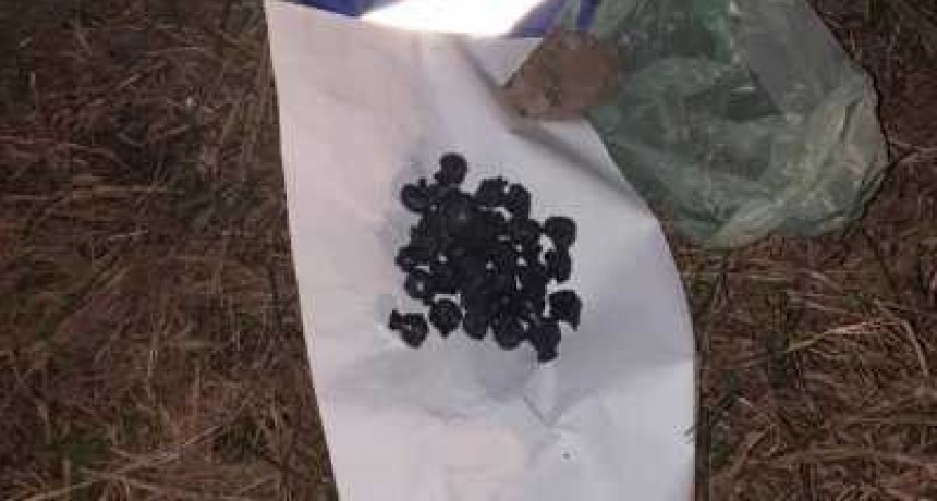 Hombres arrojaron 31 &ldquo;bochitas&rdquo; de marihuana a la calle para fugarse de la Polic&iacute;a