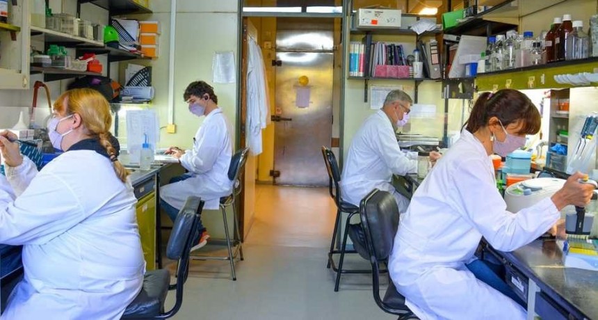 Cient&iacute;ficos argentinos avanzan en una vacuna de segunda generaci&oacute;n contra el coronavirus