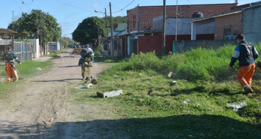 Desmalezado y limpieza general en Villa Luzuriaga