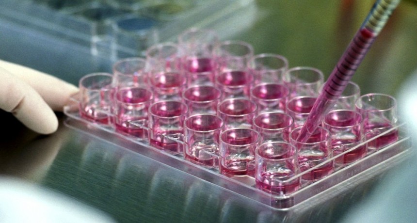 Estudios respaldan el uso de c&eacute;lulas madre del cord&oacute;n umbilical en pacientes con esclerosis m&uacute;ltiple