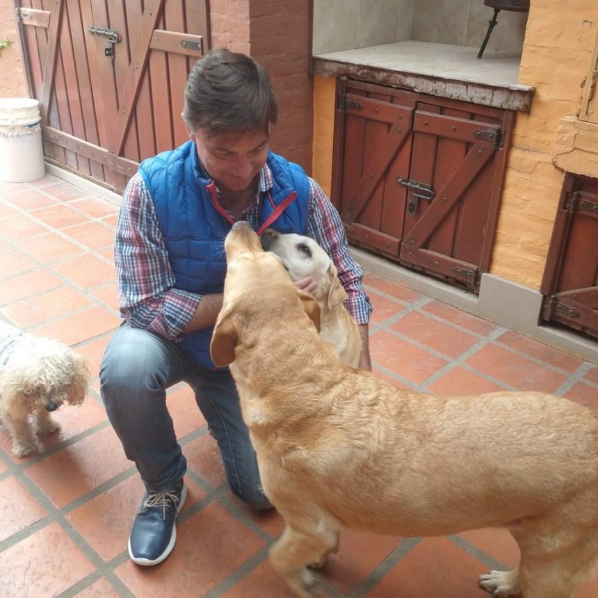 Livia Gutiérrez propone una ley de cuidado de animales urbanos. Castración y Vacunación