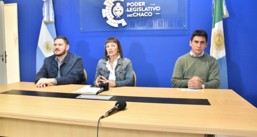 Diputados presentaron proyecto de para instaurar Día de la Emprendedora y el Emprendedor Chaqueño