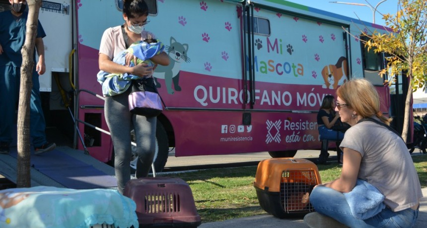 Mi Mascota: este viernes continúa la castración gratuita de mascotas en el Barrio Insssep