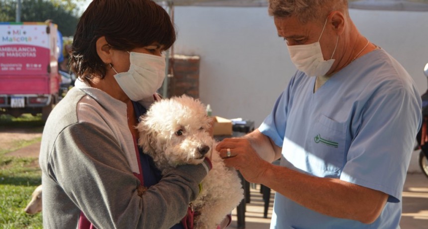 En Resistencia continúa este lunes en Villa Pegoraro con la castración gratuita de mascotas