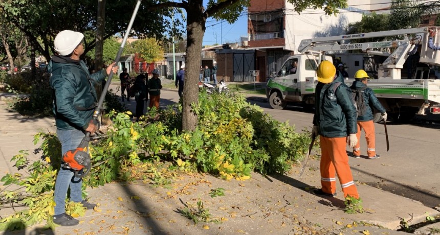 Resistencia avanza con trabajos de poda responsable en Villa Centenario