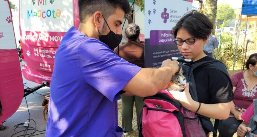 Este viernes, Resistencia estará en el barrio Juan  D. Perón con la castración gratuita de mascotas