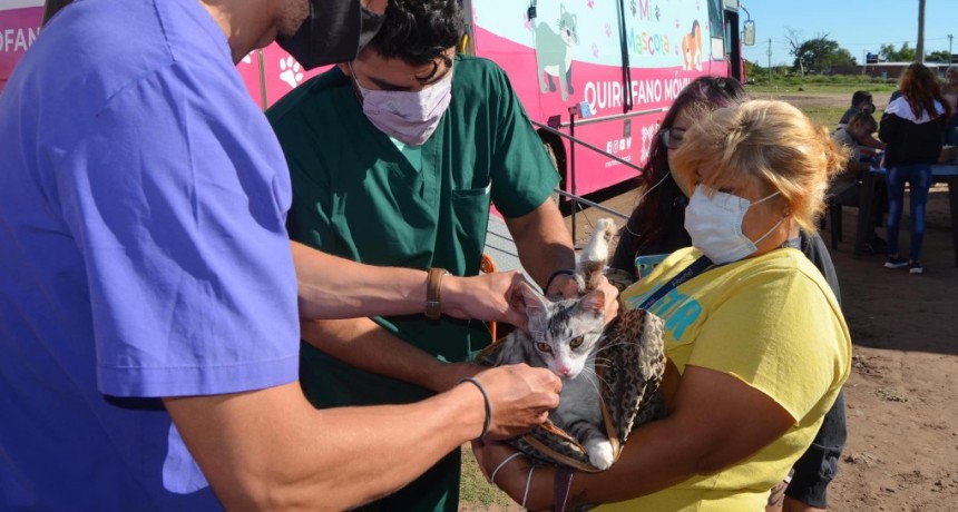 Este martes 31 de mayo, el programa “mi mascota” de Resistencia estará en Villa Federal