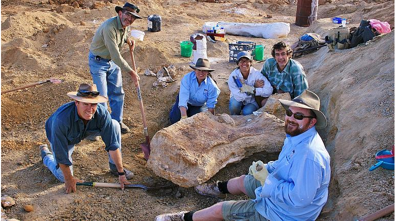 Australia confirma el hallazgo de una nueva especie de dinosaurio