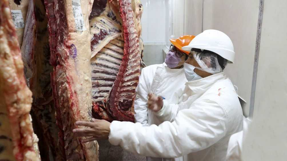 El Gobierno prevé que la semana próxima se reanuden las exportaciones de carne vacuna