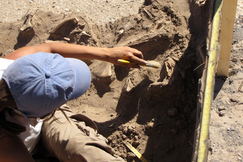 Investigadores israelíes hallaron restos de una nueva especie de hombre prehistórico