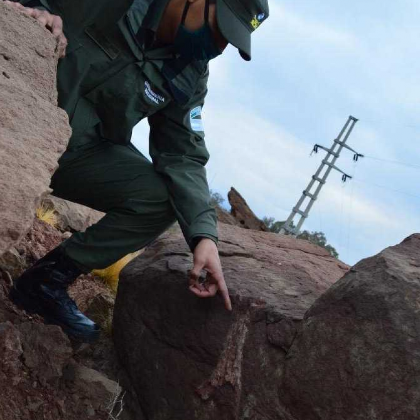 Gendarmes hallaron trozos de huesos de dinosaurio incrustados dentro de piedras