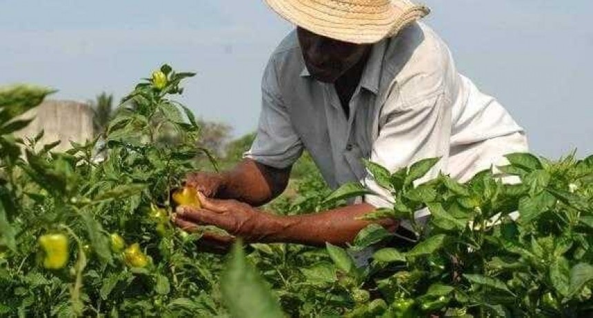 El viernes se realizar&aacute; el lanzamiento oficial del II Congreso Argentino de Agroecolog&iacute;a que se realizar&aacute; en el Chaco