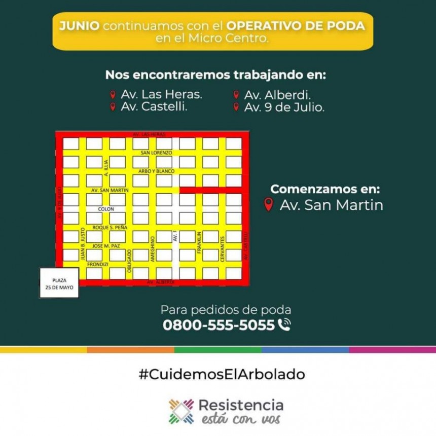 Resistencia: operativos de poda en el microcentro
