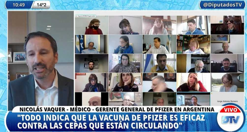 Pfizer desmiente ante Diputados que haya habido "pedido de pagos indebidos" o "intermediarios"