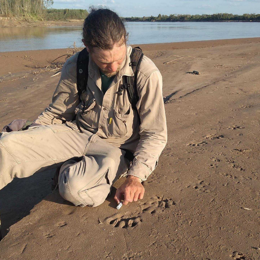 Teuco, la nutria gigante, sigue en El Impenetrable