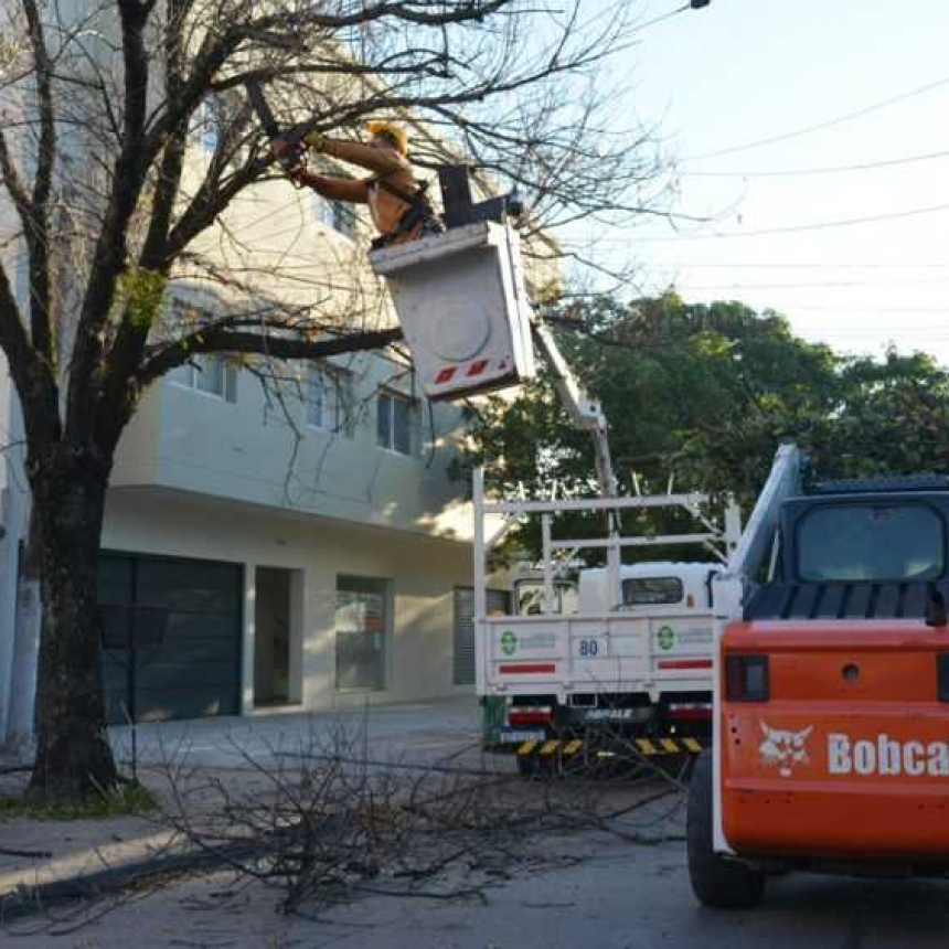 Nuevo operativo municipal de poda controlada en Resistencia