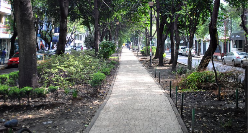 La Condesa: una de las colonias favoritas de la Ciudad De M&eacute;xico 