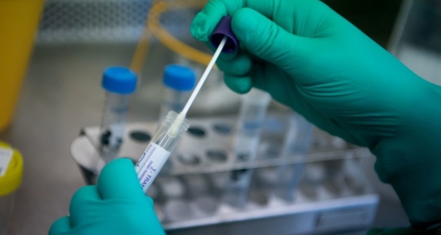 Salud report&oacute; 607 nuevos positivos de coronavirus en las &uacute;ltimas 24 horas