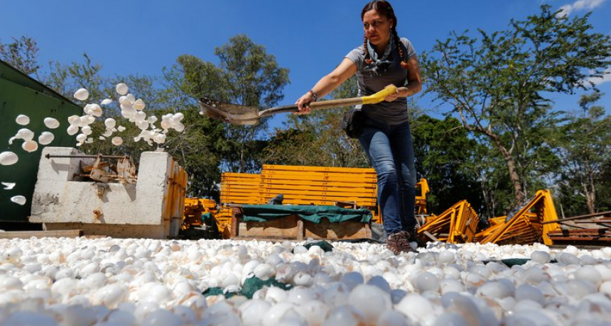 Innovadora iniciativa para limpiar los r&iacute;os contaminados de M&eacute;xico 