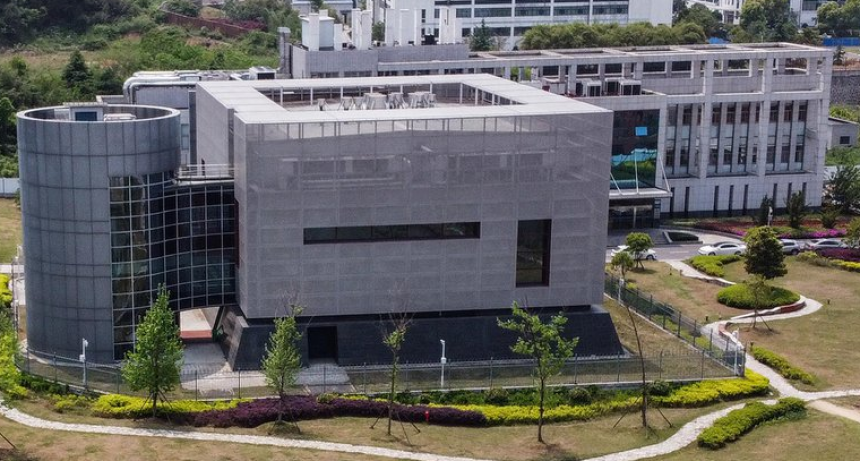 Recuperan algunas secuencias del coronavirus que hab&iacute;an sido eliminadas &ldquo;sospechosamente&rdquo;