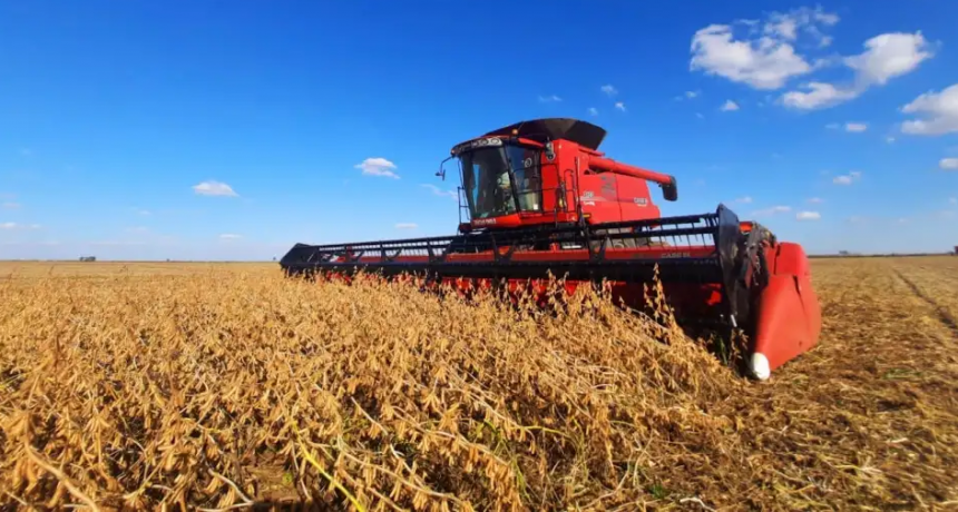 Soja: termin&oacute; la cosecha con una producci&oacute;n de 43,7 millones de toneladas