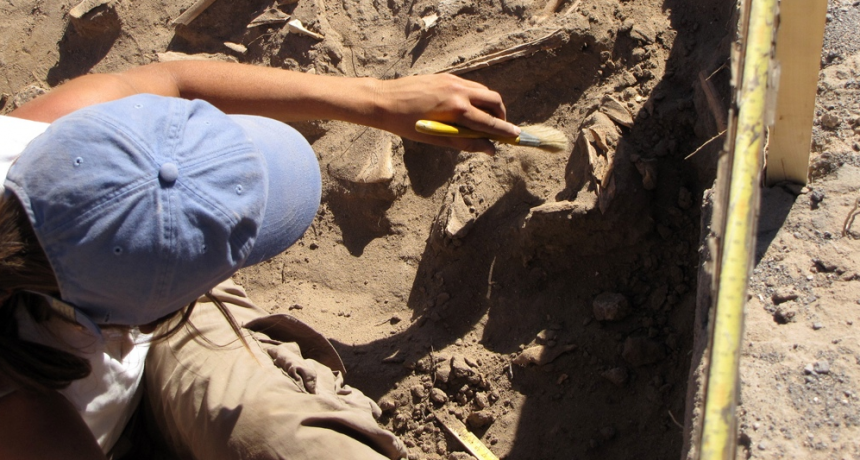 Investigadores israel&iacute;es hallaron restos de una nueva especie de hombre prehist&oacute;rico