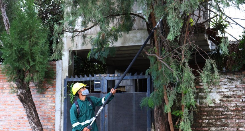 Operativo de poda controlada, limpieza y barrido en Villa Universidad 