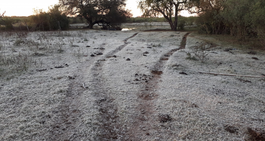 El fr&iacute;o polar se hace sentir en el Chaco: temperaturas de hasta -4,3&ordm;C en El Impenetrable