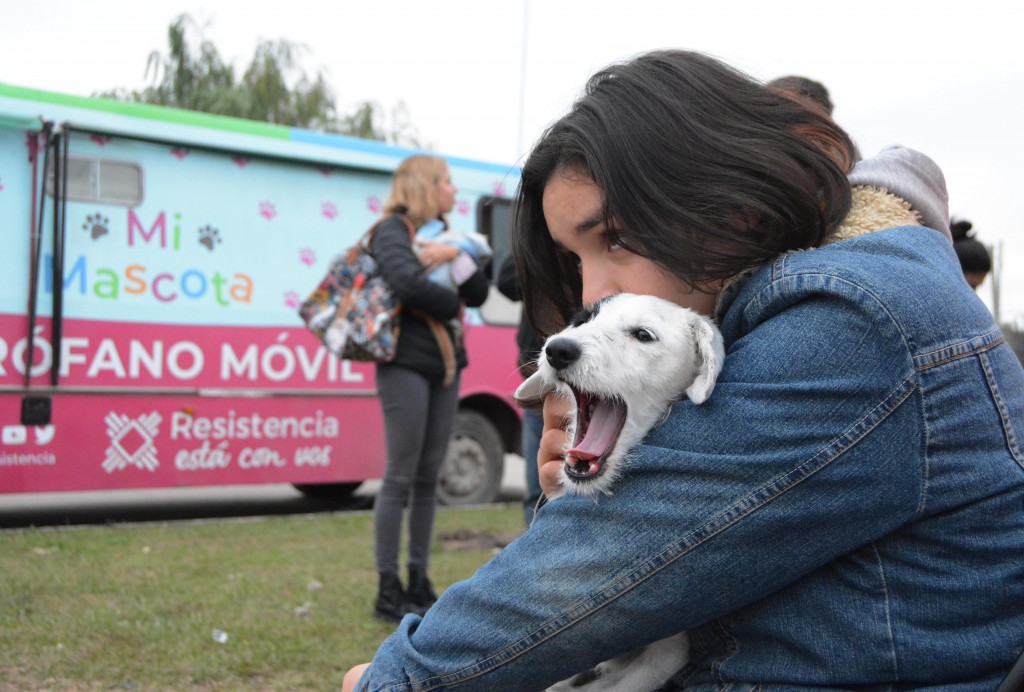  La castración gratuita de mascotas llega este viernes al Barrio Nuevo Amanecer 