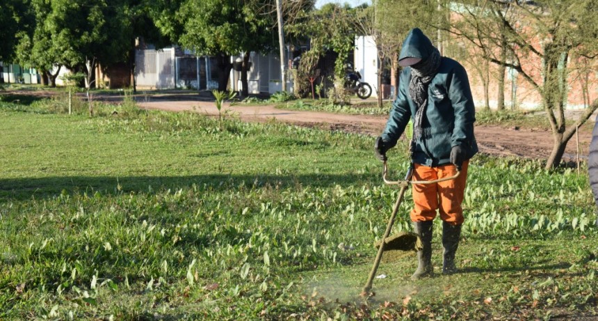 La Municipalidad de Resistencia realizó desmalezado en la Zona Sur