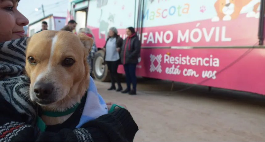 Continúa el programa 