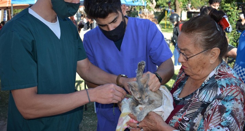 La castración gratuita de mascotas estará este martes y miércoles en el Barrio 400 viviendas Soesgype de Resistencia