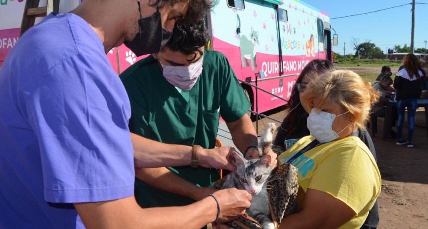 Mi Mascota: la castración gratuita llega al Barrio Don Bosco en Resistencia