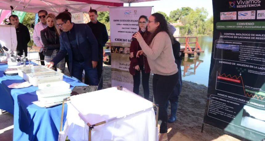 El Municipio junto al Conicet controlaran biológicamente las malezas acuáticas en las lagunas urbanas