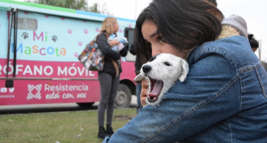  La castración gratuita de mascotas llega este viernes al Barrio Nuevo Amanecer 