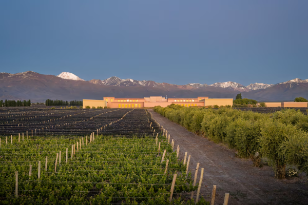 El &uacute;nico vino argentino entre los 50 mejores del mundo seg&uacute;n un certamen internacional