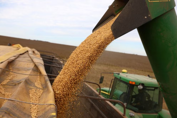 La econom&iacute;a argentina creci&oacute; 0,7% en el primer trimestre de 2026: cu&aacute;les fueron los sectores que impulsaron la actividad
