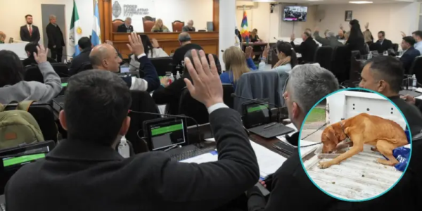 Multas de hasta $18 millones y arrestos de seis meses, los cambios en la ley para proteger animales
