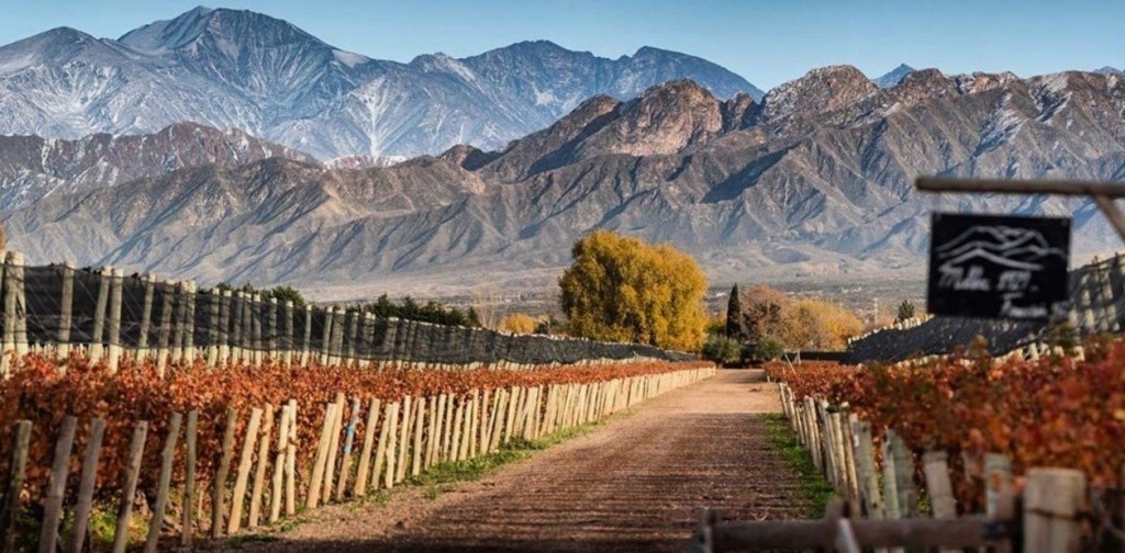 Mendoza, entre los 100 Mejores Lugares del Mundo según la revista Time