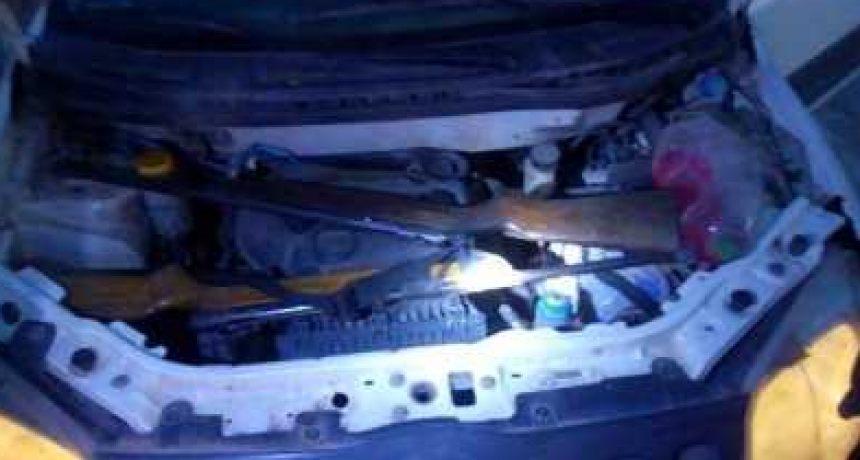 Demoraron a tres personas trasladando carne de &ntilde;and&uacute; y escopetas