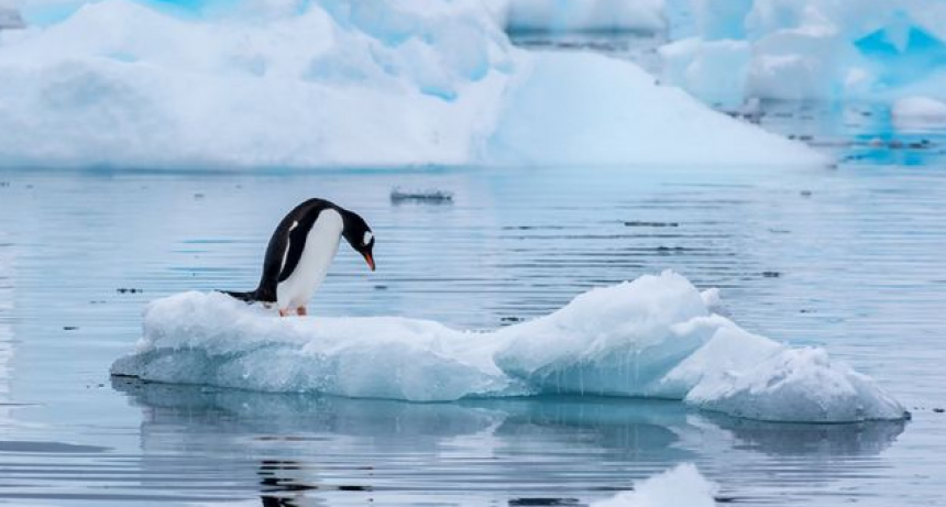 La Ant&aacute;rtida registra un nuevo r&eacute;cord de temperatura m&aacute;xima de 18,3 &ordm;C