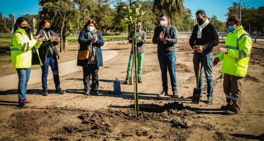 Plantan 500 &aacute;rboles en el acceso al aeropuerto 