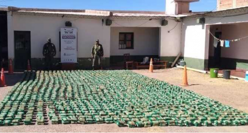 Los detuvieron transportando 754 kilos de hojas de coca de contrabando
