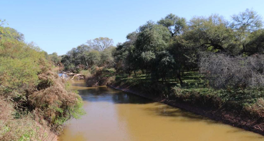 Detuvieron desmontes en la zona de El Impenetrable