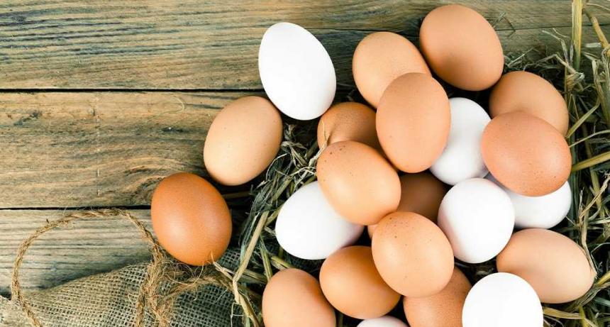 Productores de huevos elogiaron la decisi&oacute;n del Gobierno de eliminar retenciones al sector